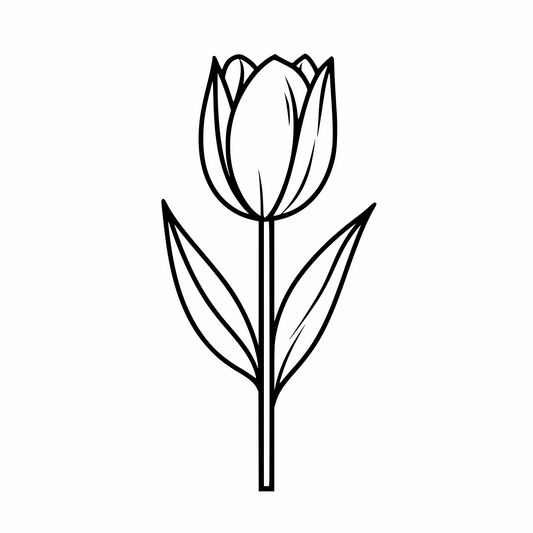 Elegant Tulip SVG & PNG for Cricut