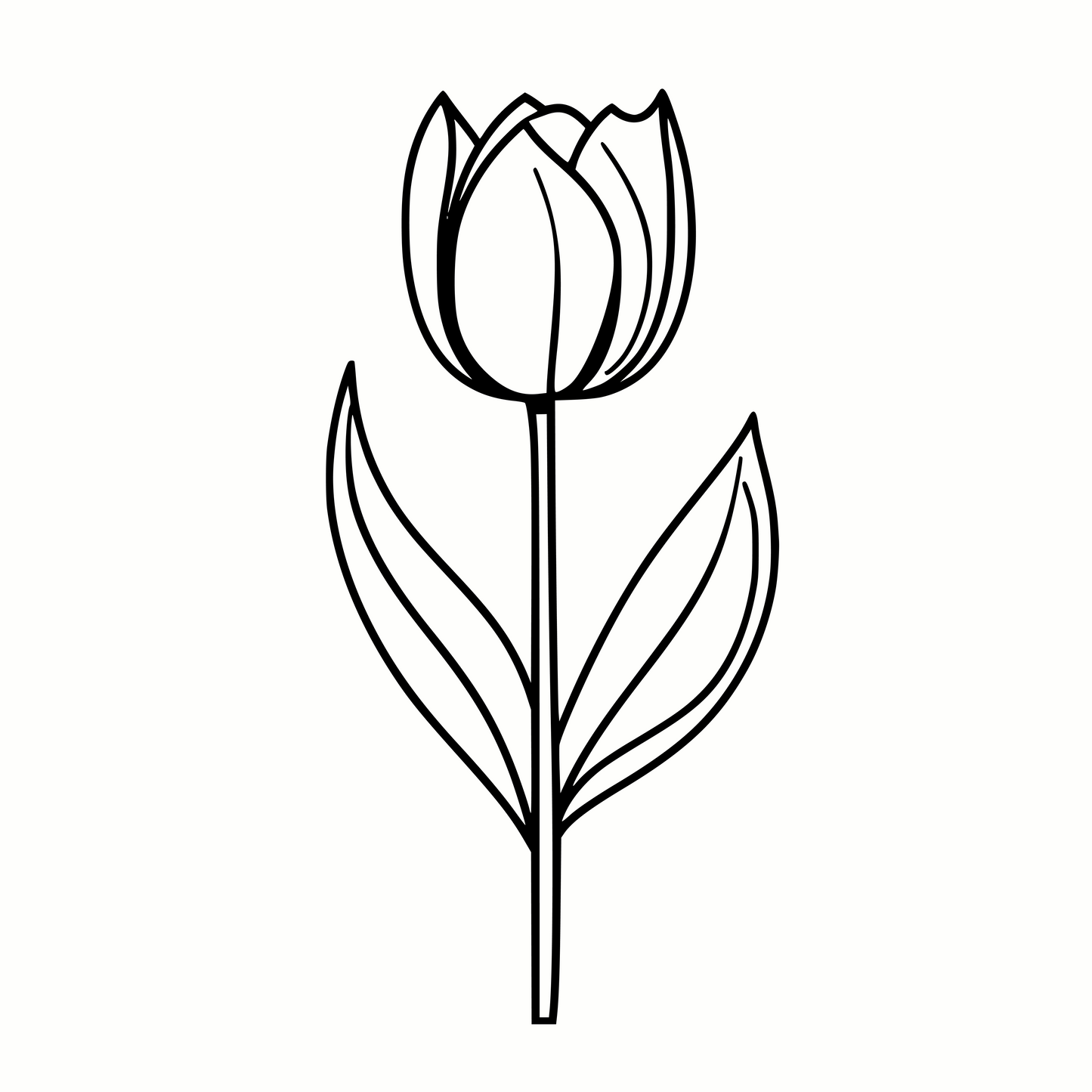 Elegant Tulip PNG & SVG for Cricut