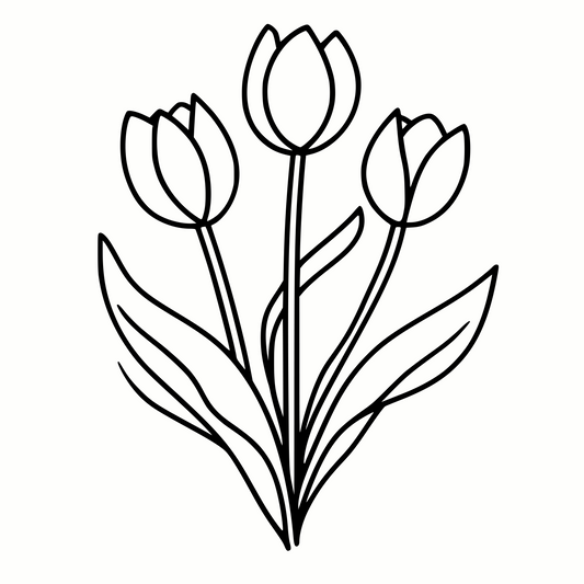 Tulips SVG & PNG