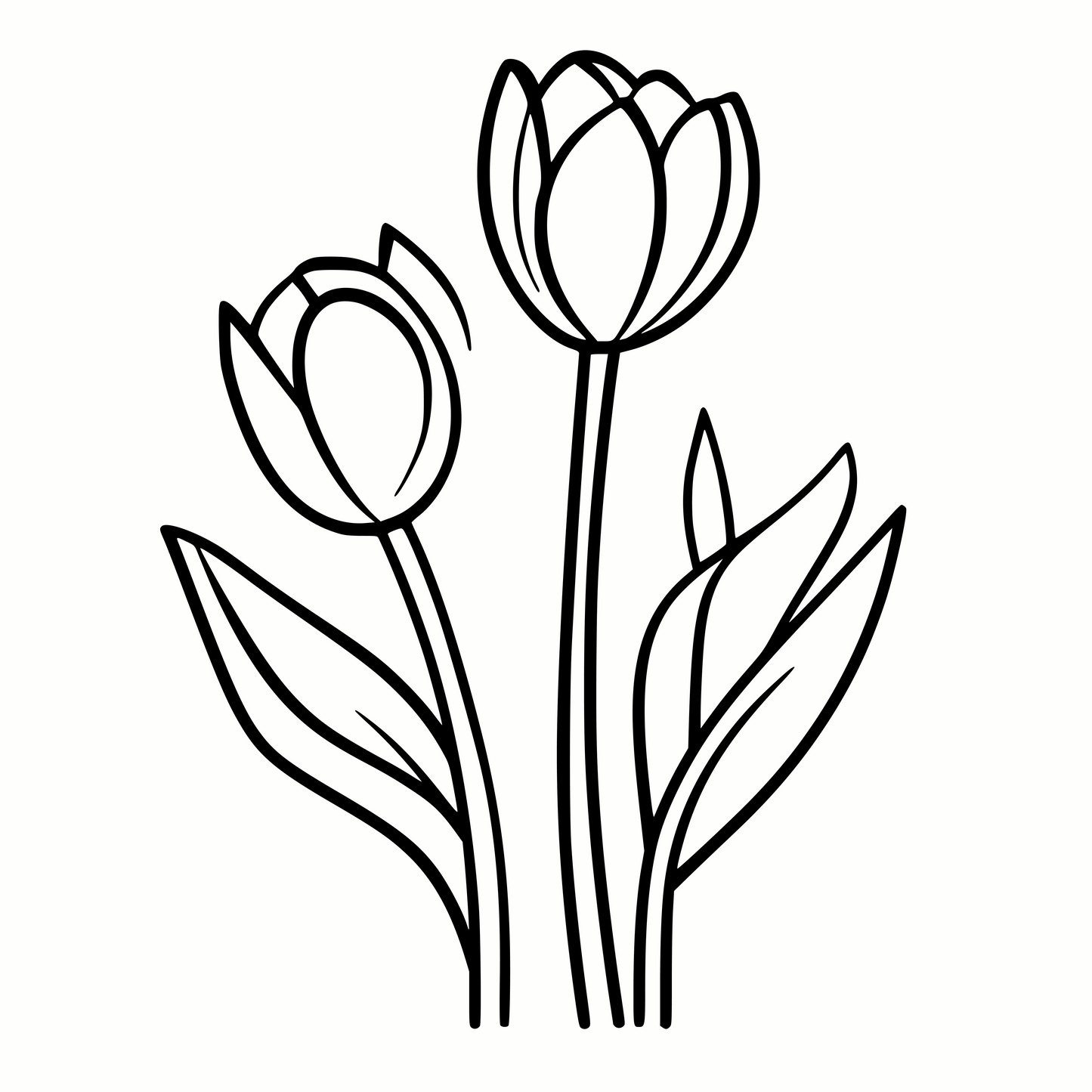 Tulips SVG for Crafts