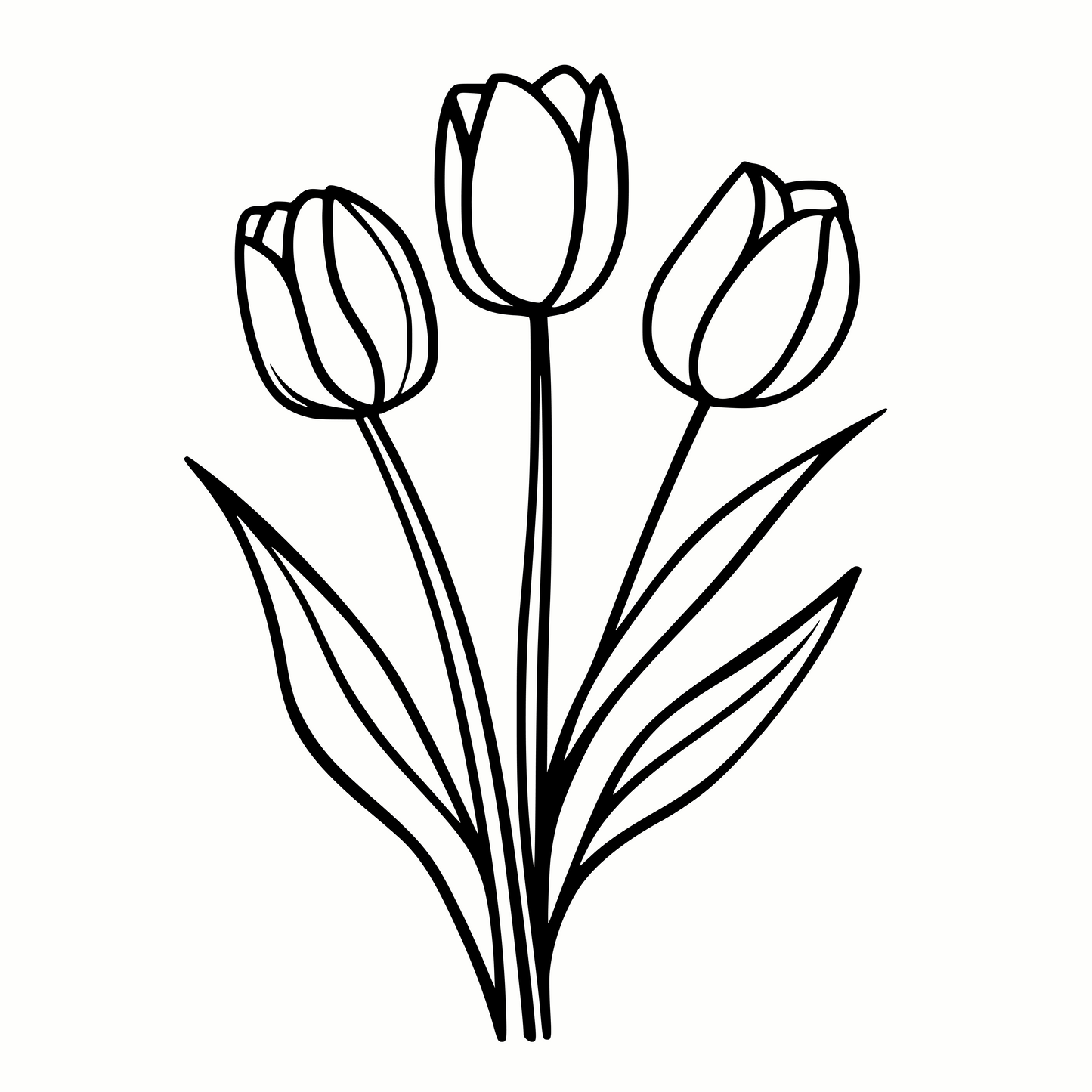 Tulips Bouquet SVG & PNG