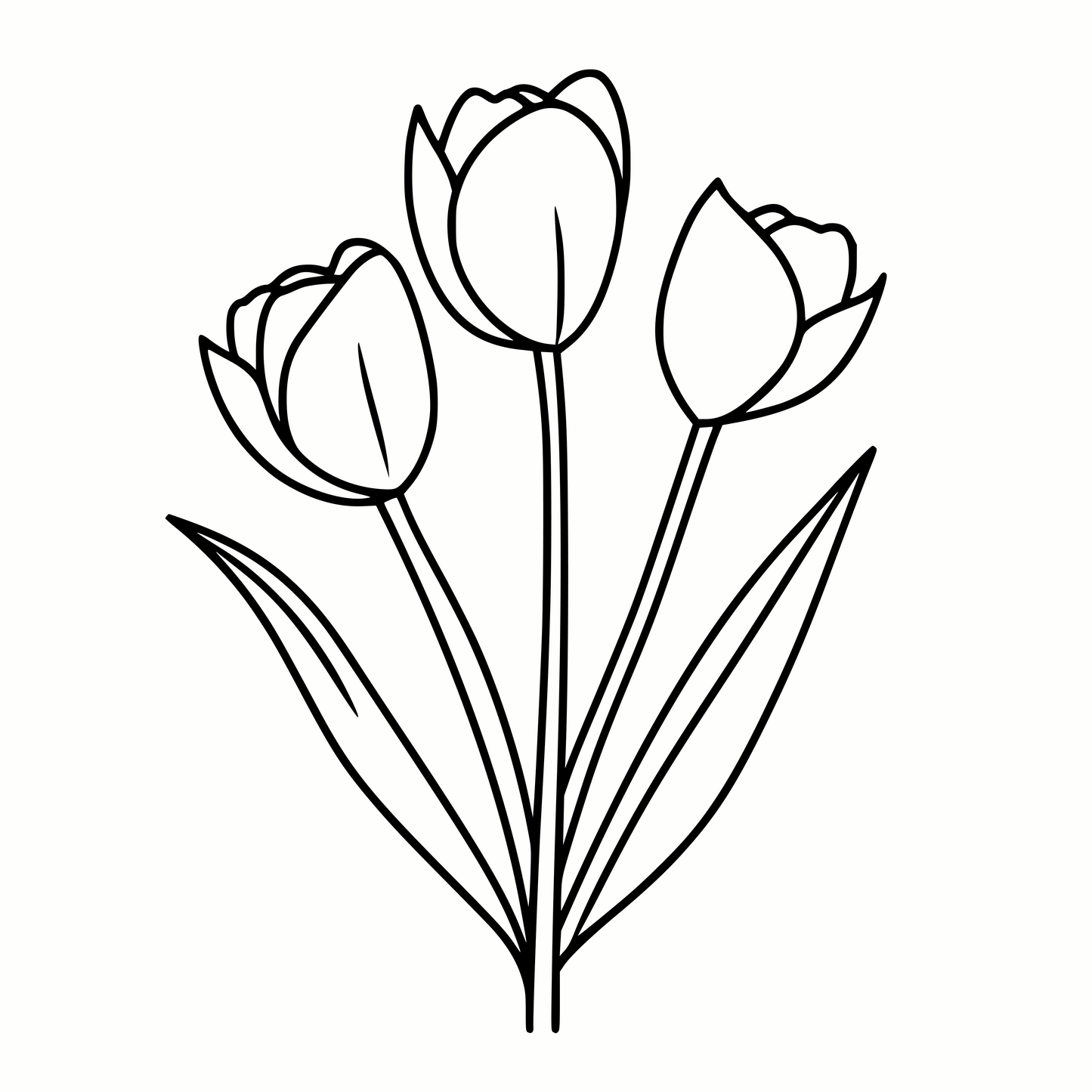 Tulips SVG & PNG Formats for Creative Projects