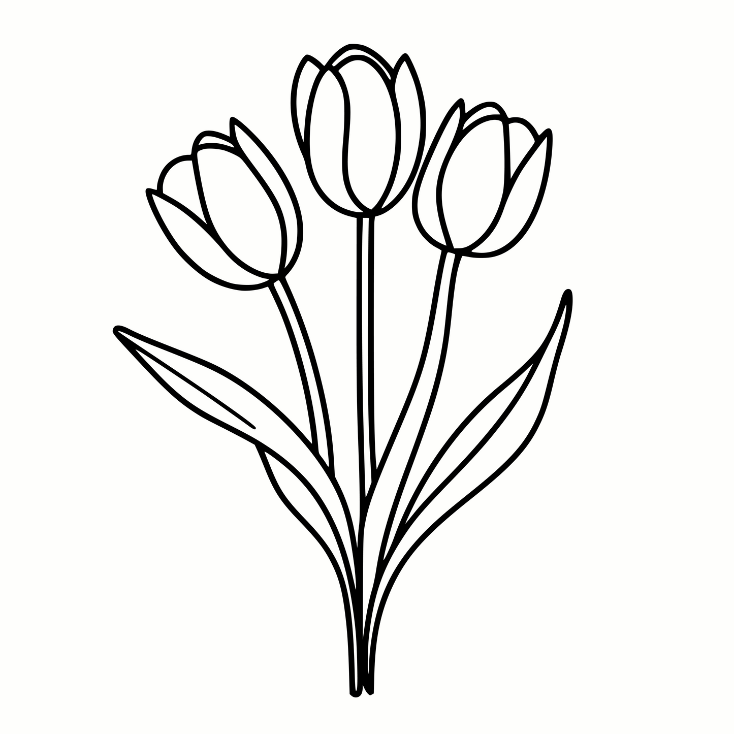 Spring Tulips in SVG & PNG Formats