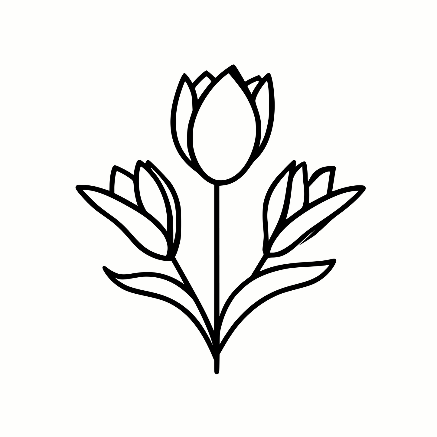 Unique Tulip SVG & PNG for Craft Projects and Cricut